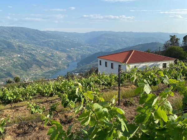 469041145_468206579640598_2116119905456192243_n