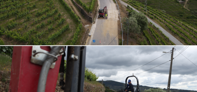 malhao
