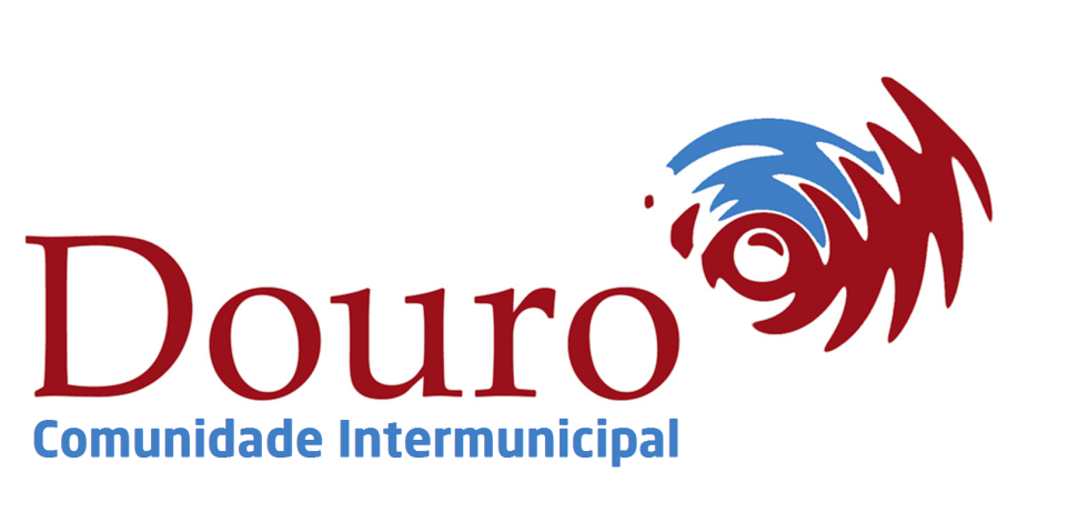 CIMDOURO e Direção Regional de Cultura  promovem consultoria para projetos culturais
